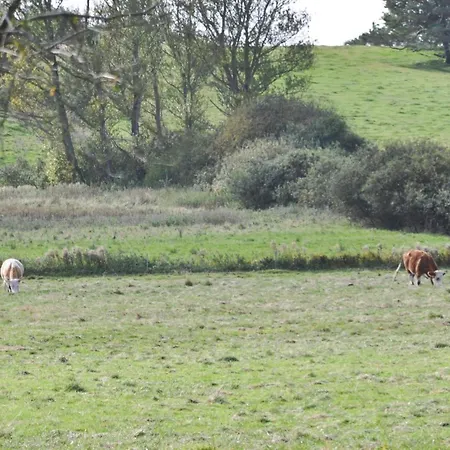 Feriehus Solbakkevej Hornbaek Xii