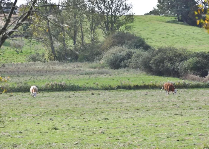 Сasa de vacaciones Solbakkevej Xii